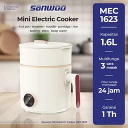 Mini Electric Cooker